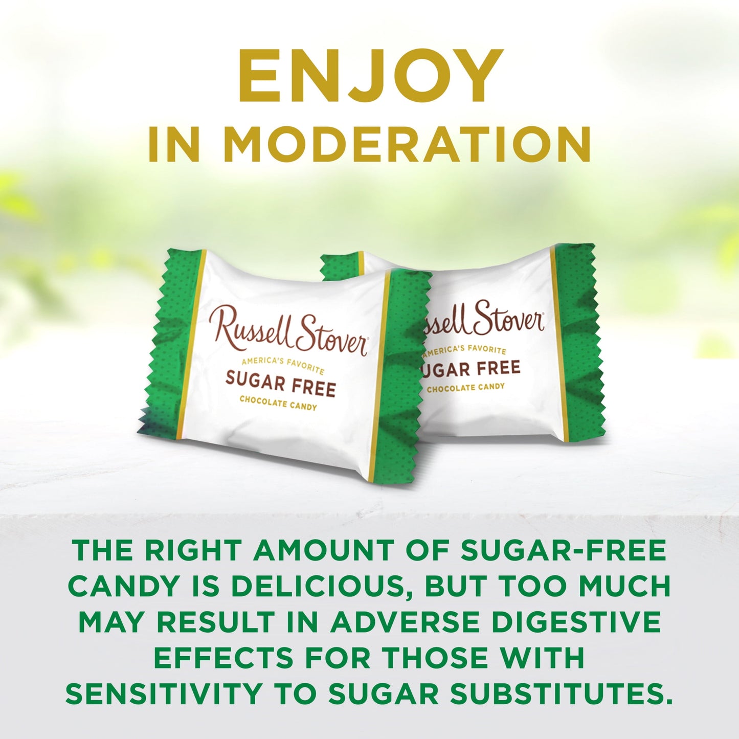 RUSSELL STOVER Sugar Free Dark Chocolate Mint Candy, 10 oz. bag