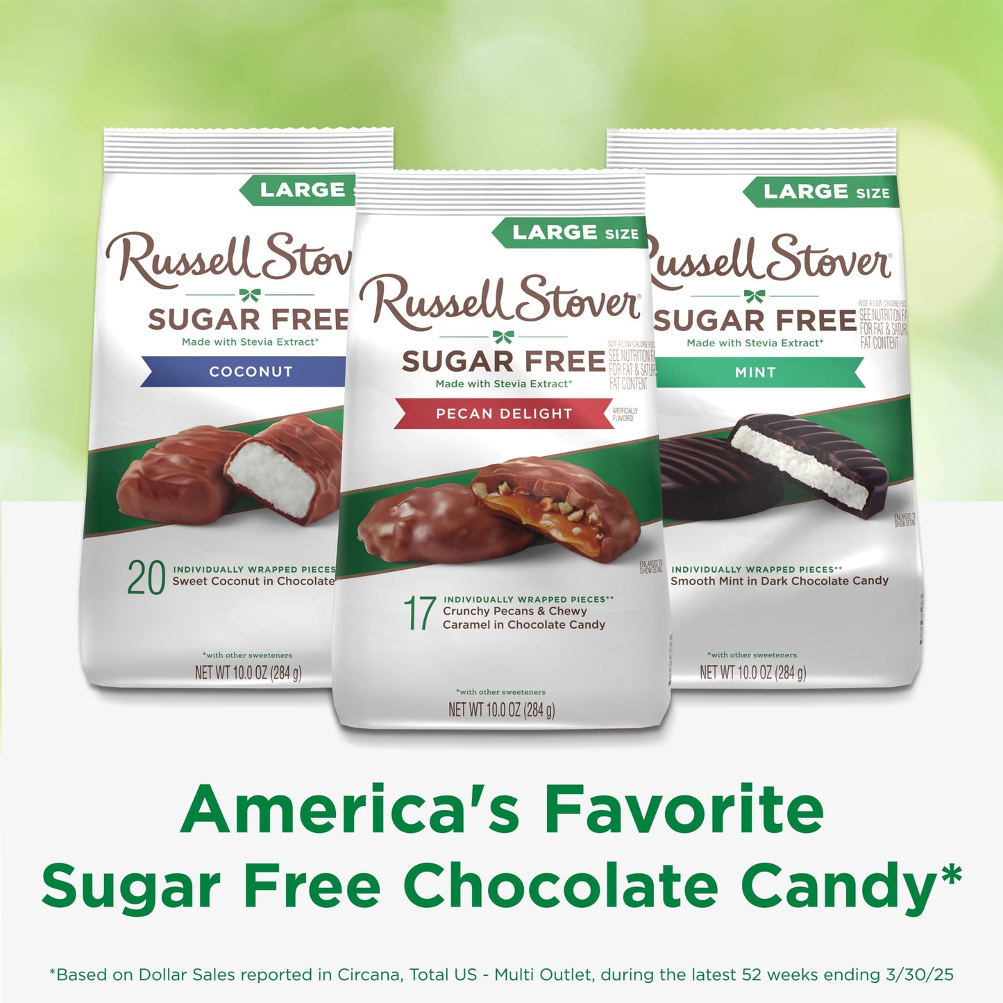 RUSSELL STOVER Sugar Free Pecan Delight Chocolate Candy, 10 oz. bag