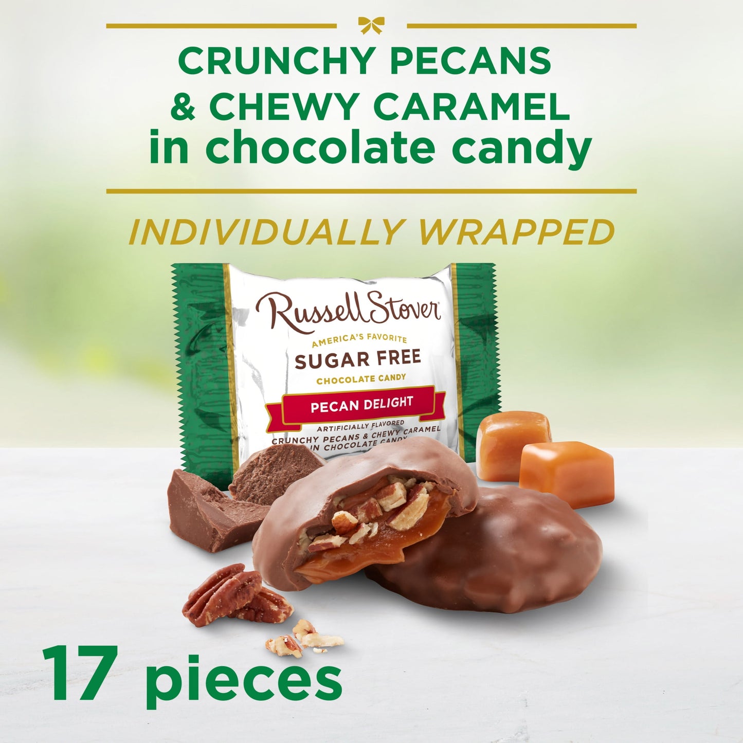 RUSSELL STOVER Sugar Free Pecan Delight Chocolate Candy, 10 oz. bag