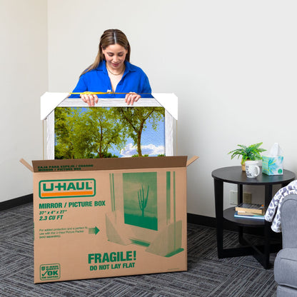 Mirror & Picture Moving Box | Pack of 2