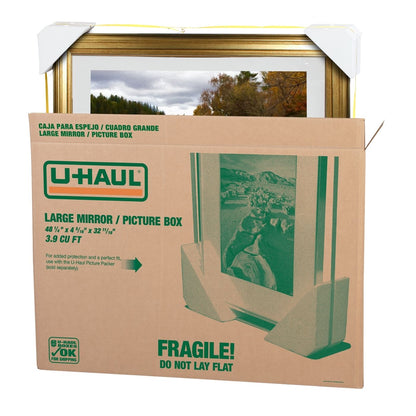 Large Mirror and Picture Moving Box | Pack of 2