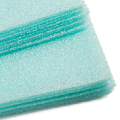 Cushion Foam | Pack of 2